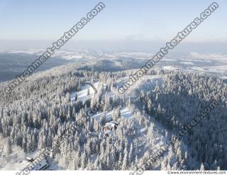background winter nature forest 0008